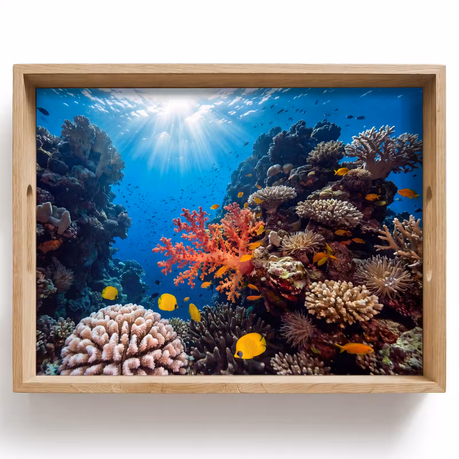 Dienblad - Zee - Koraalrif - Natuur - Levendig - Blauw — 1