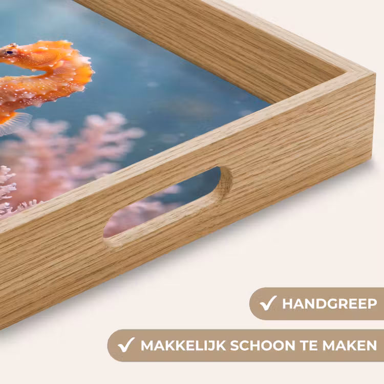 Dienblad - Vis - Koraal - Oceaan - Macro - Oranje — 5