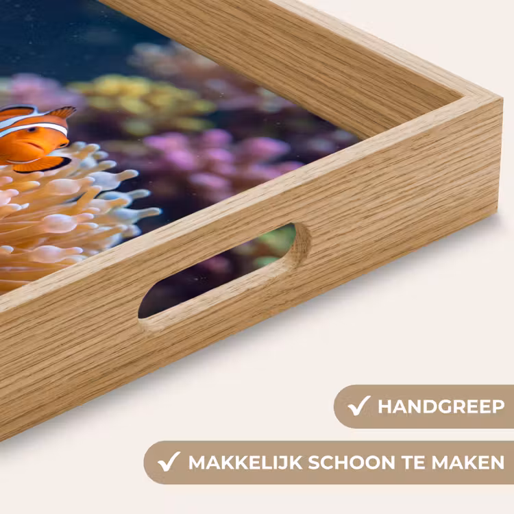 Dienblad - Vis - Koraal - Onderwater - Oranje - Dieren — 5