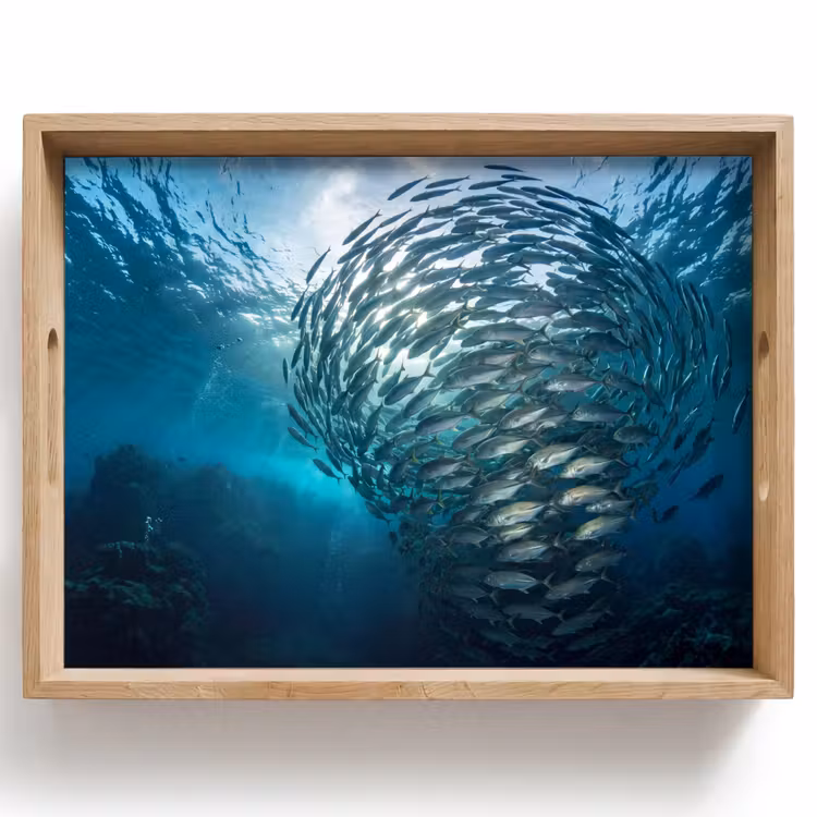 Dienblad - Vis - School - Oceaan - Natuur - Blauw — 1