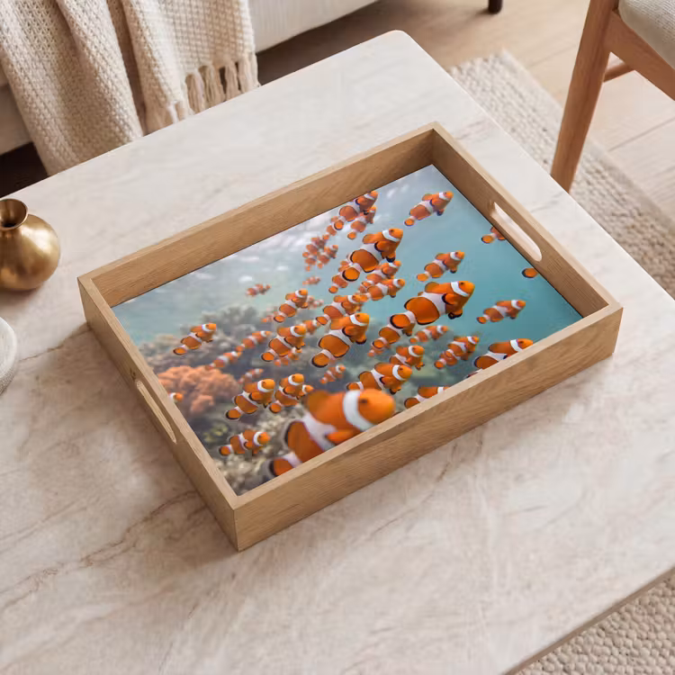 Dienblad - Vis - School - Onderwater - Dieren - Oranje — 2