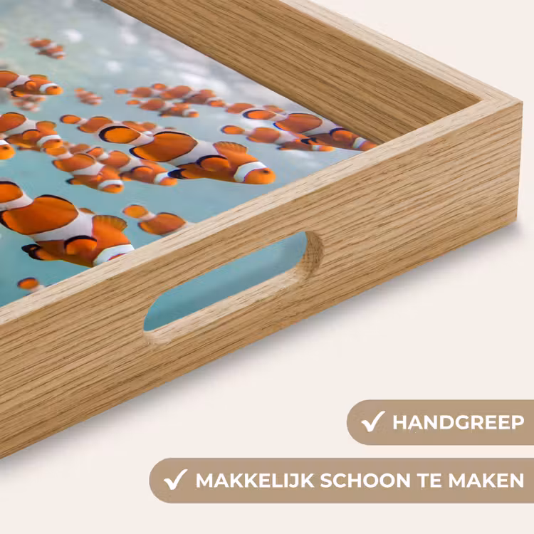 Dienblad - Vis - School - Onderwater - Dieren - Oranje — 5