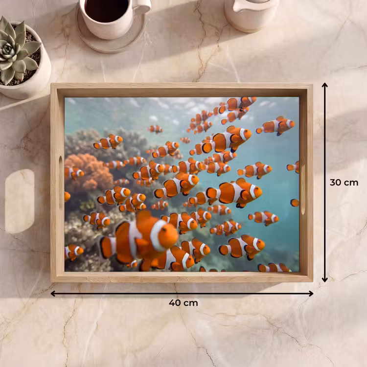Dienblad - Vis - School - Onderwater - Dieren - Oranje — 9