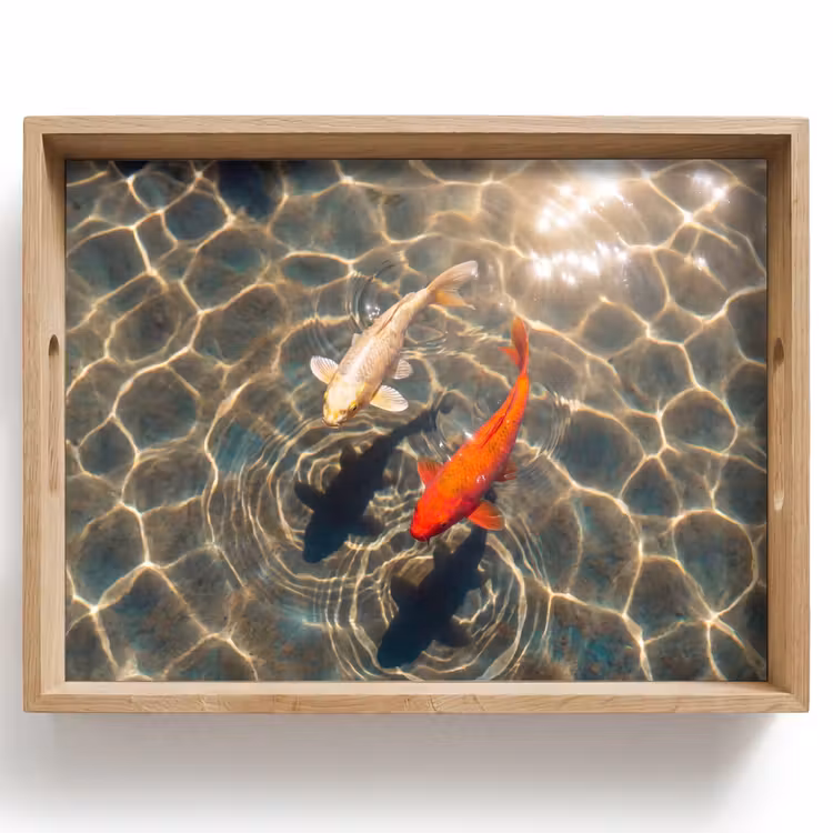 Dienblad - Vis - Water - Dieren - Oranje - Goud — 1