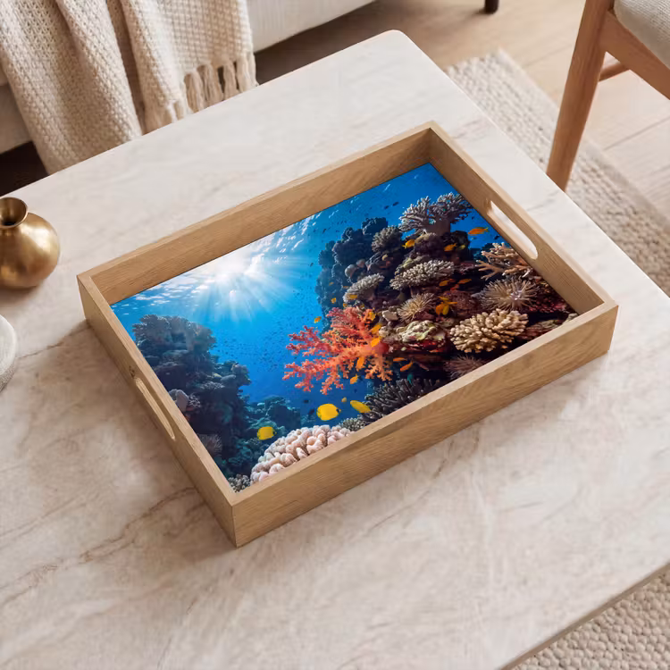 Dienblad - Zee - Koraalrif - Natuur - Levendig - Blauw — 2