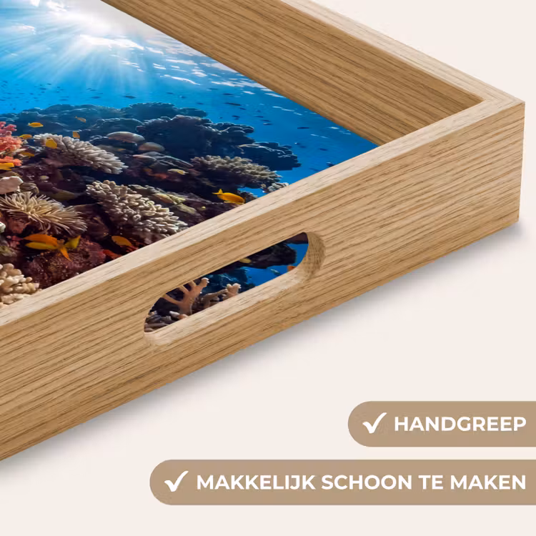 Dienblad - Zee - Koraalrif - Natuur - Levendig - Blauw — 5