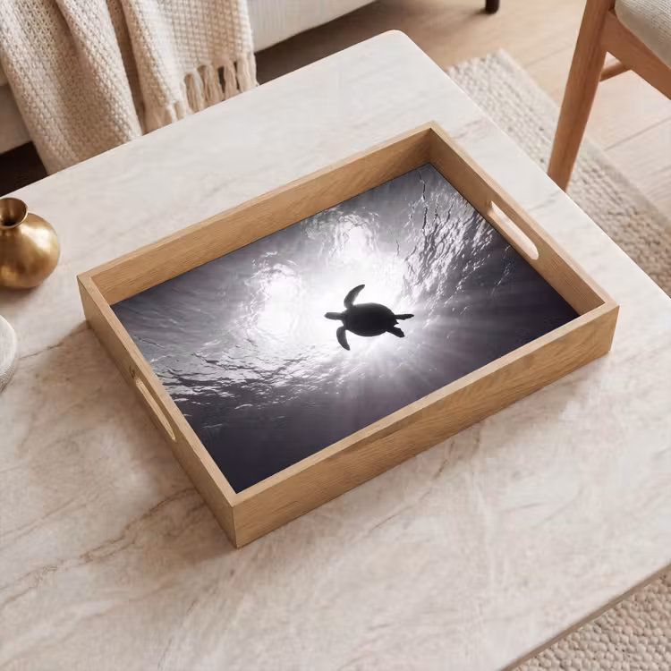 Dienblad - Schildpad - Onderwater - Lichtstralen - Oceaan - Zwart-wit — 2