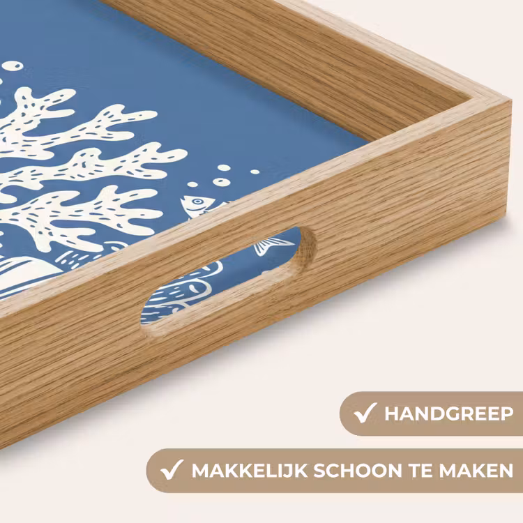 Dienblad - Zeeleven - Koraal - Schelp - Vis - Illustratie - Onderwater — 5