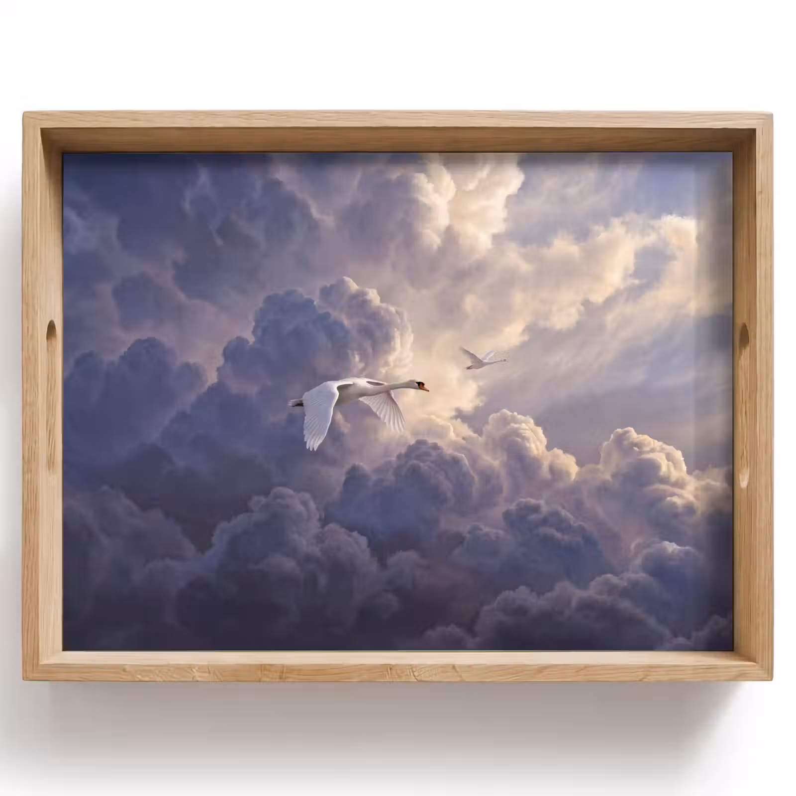 Dienblad - Vogel - Vliegend - Natuur - Wit - Wolken — 1