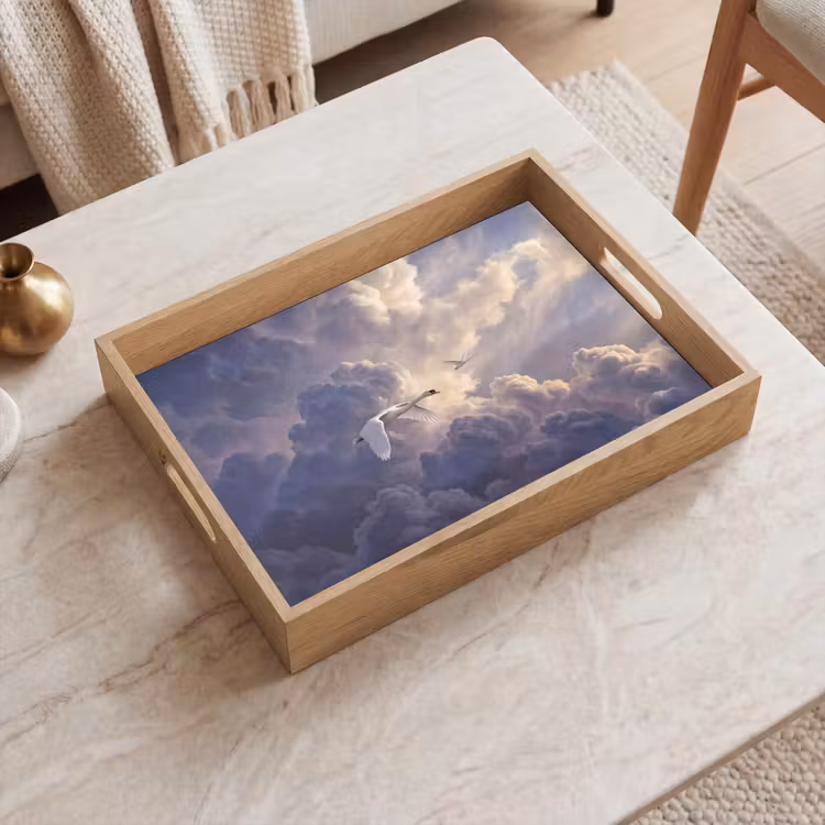 Dienblad - Vogel - Vliegend - Natuur - Wit - Wolken — 2