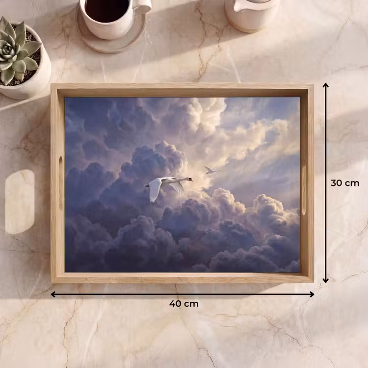 Dienblad - Vogel - Vliegend - Natuur - Wit - Wolken — 9
