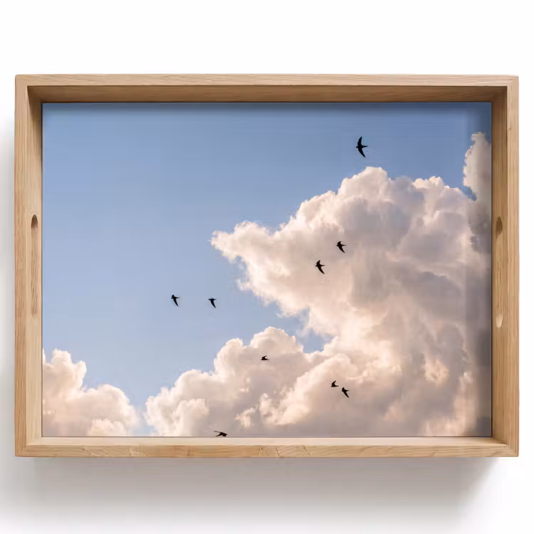 Dienblad - Vogel - Vlucht - Wolken - Natuur - Blauw — 1