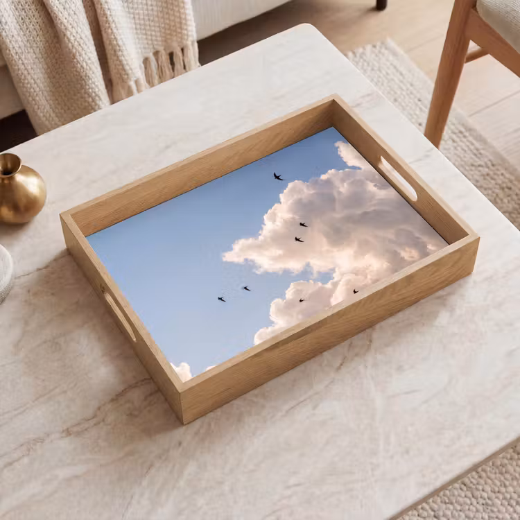 Dienblad - Vogel - Vlucht - Wolken - Natuur - Blauw — 2