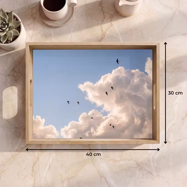 Dienblad - Vogel - Vlucht - Wolken - Natuur - Blauw — 9