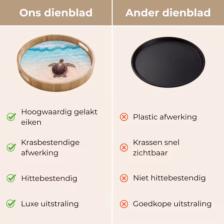 Dienblad - Schildpad - Helder water - Strand - Dieren - Natuur — 3