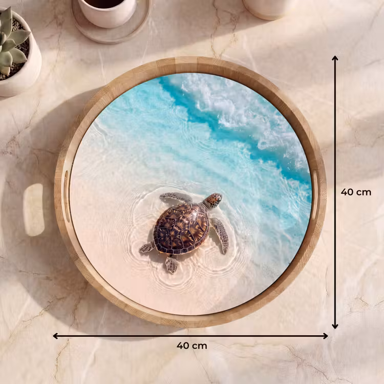 Dienblad - Schildpad - Helder water - Strand - Dieren - Natuur — 9