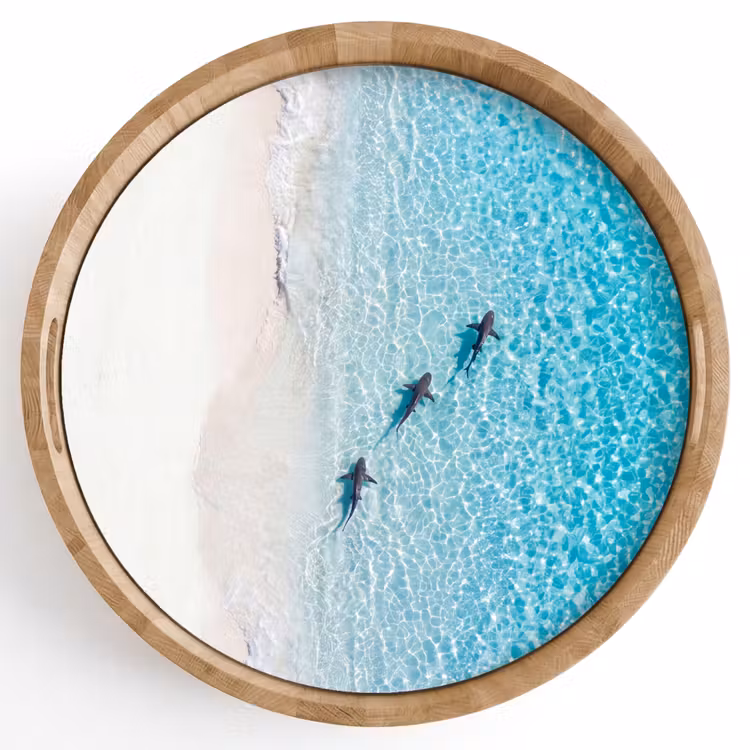 Dienblad - Vis - Oceaan - Strand - Turquoise - Natuur — 1