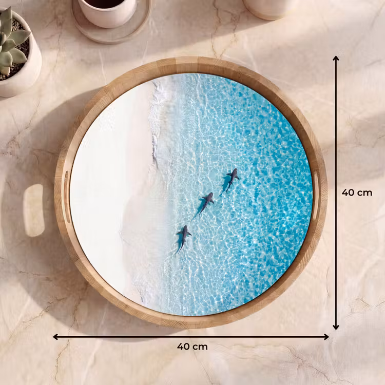 Dienblad - Vis - Oceaan - Strand - Turquoise - Natuur — 9