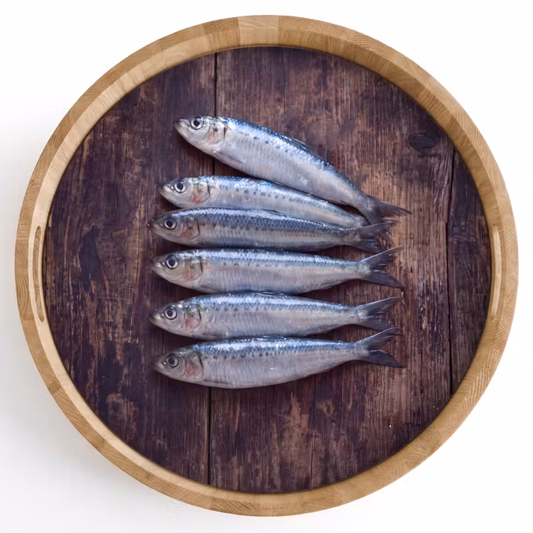 Dienblad - Vis - Hout - Eten — 1