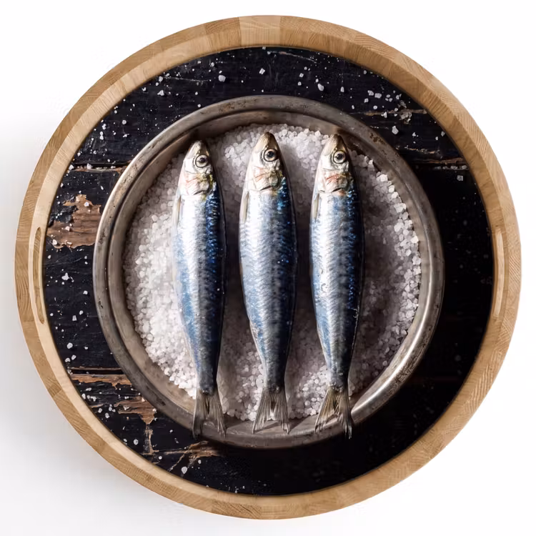 Dienblad - Vis - Zout - Eten — 1