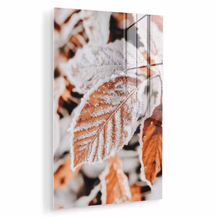 Glas schilderij - Bladeren - IJs - Winter - Natuur — 1