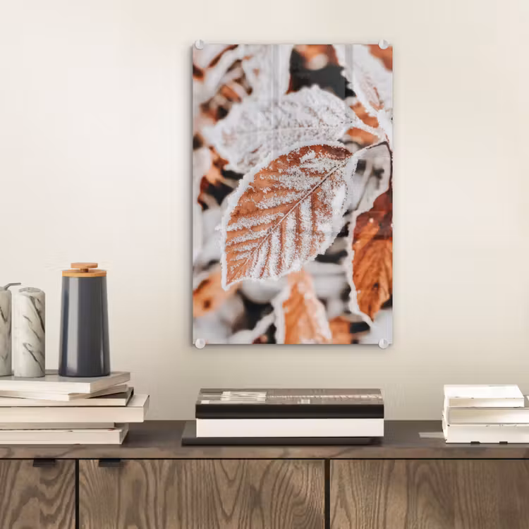 Glas schilderij - Bladeren - IJs - Winter - Natuur — 2