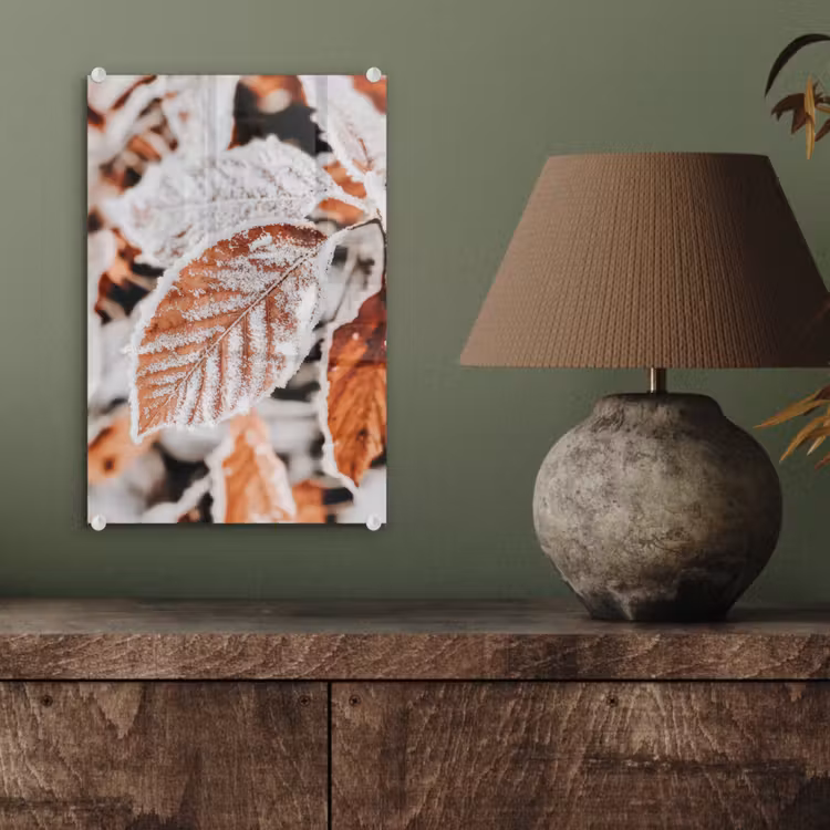 Glas schilderij - Bladeren - IJs - Winter - Natuur — 4