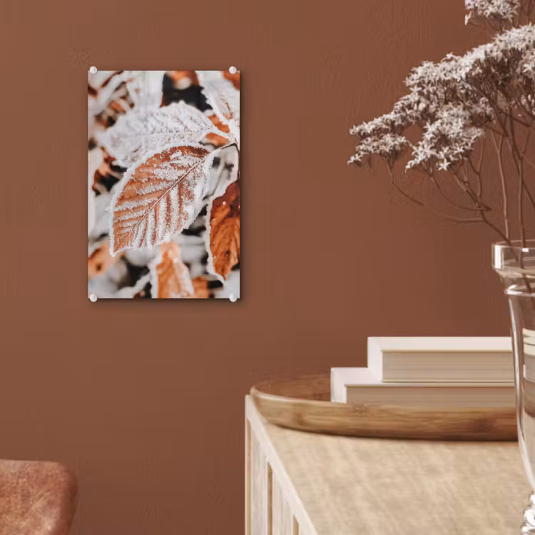 Glas schilderij - Bladeren - IJs - Winter - Natuur — 6