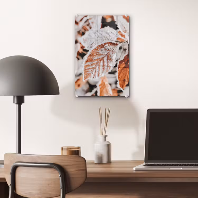 Glas schilderij - Bladeren - IJs - Winter - Natuur — 7