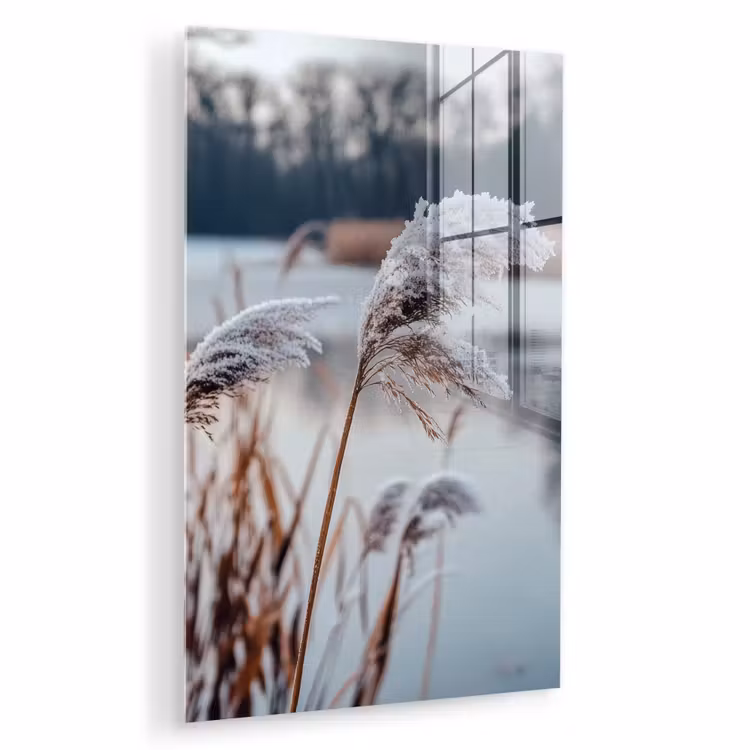 Glas schilderij - Riet - Gras - Natuur - Winter - Meer — 1