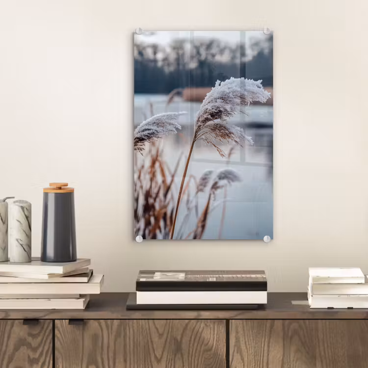 Glas schilderij - Riet - Gras - Natuur - Winter - Meer — 2