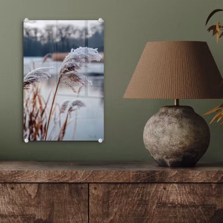 Glas schilderij - Riet - Gras - Natuur - Winter - Meer — 4