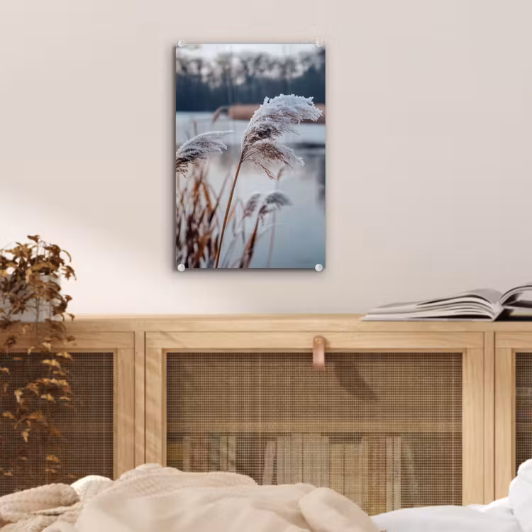 Glas schilderij - Riet - Gras - Natuur - Winter - Meer — 5