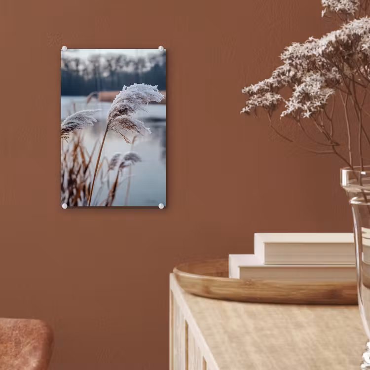Glas schilderij - Riet - Gras - Natuur - Winter - Meer — 6