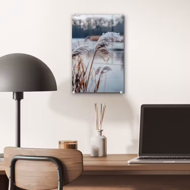 Glas schilderij - Riet - Gras - Natuur - Winter - Meer — 7
