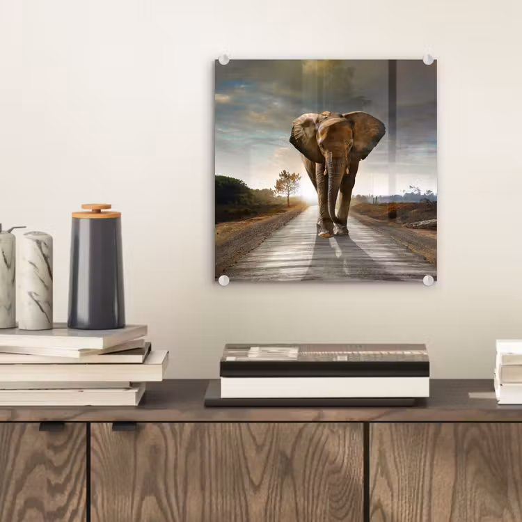 Glas schilderij - Olifant - Weg - Dieren - Zonsondergang - Landschap — 2