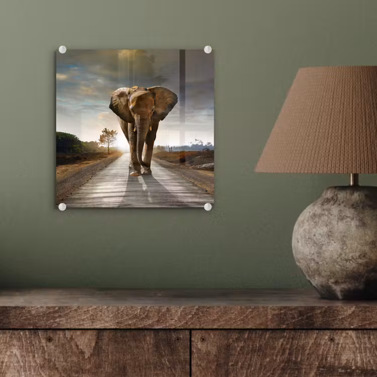 Glas schilderij - Olifant - Weg - Dieren - Zonsondergang - Landschap — 4