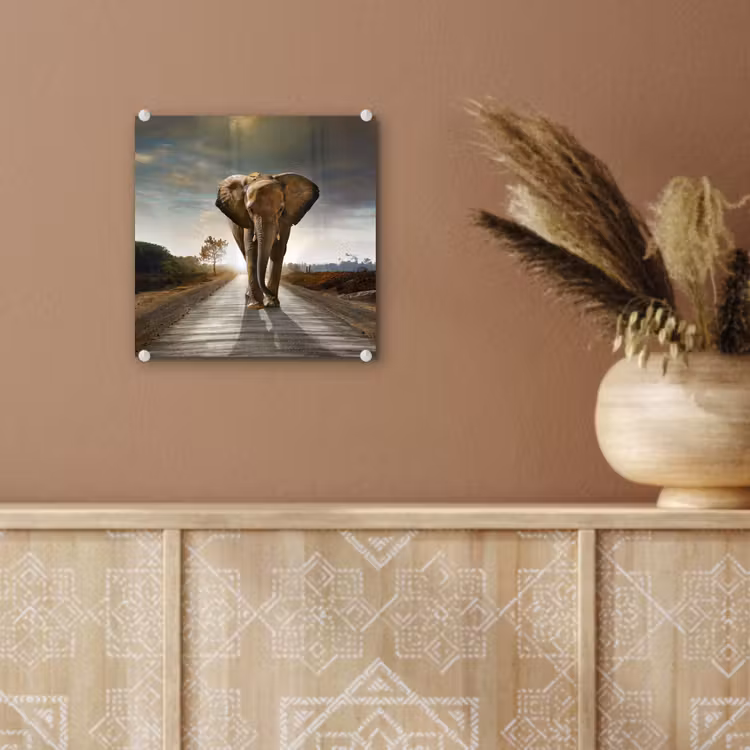 Glas schilderij - Olifant - Weg - Dieren - Zonsondergang - Landschap — 6