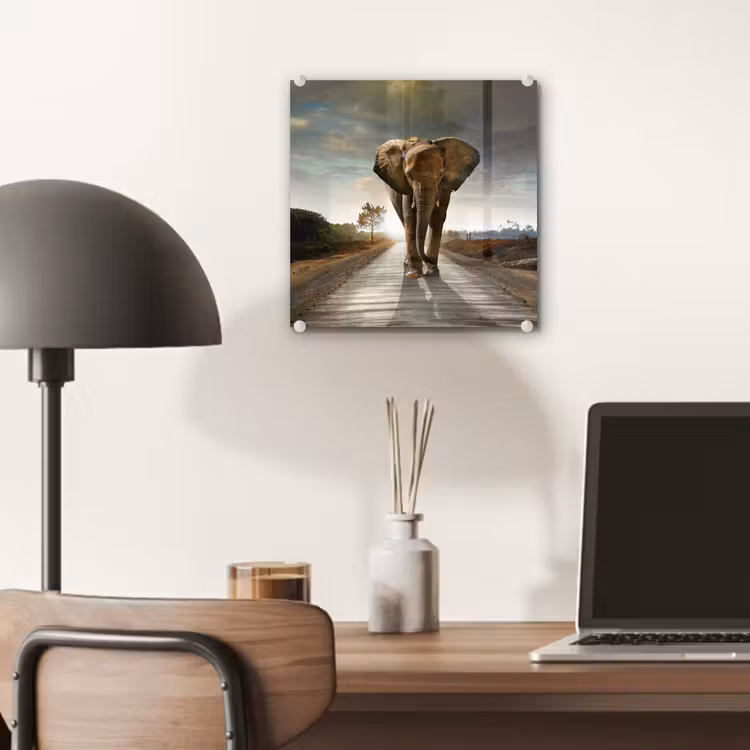 Glas schilderij - Olifant - Weg - Dieren - Zonsondergang - Landschap — 7