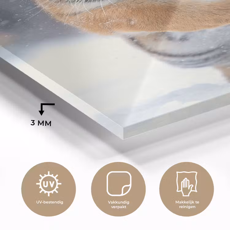 Glas schilderij - Tijger - Landschap - Sneeuw - Winter - Dieren — 2