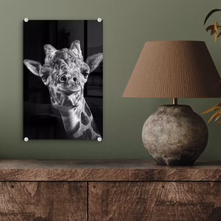 Glas schilderij - Giraffe - Dier - Zwart - Wit — 3