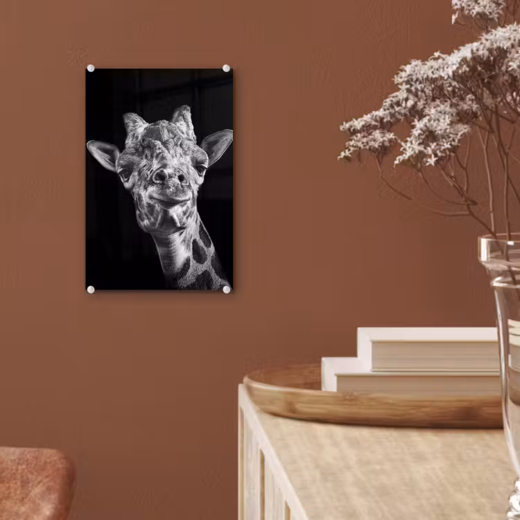 Glas schilderij - Giraffe - Dier - Zwart - Wit — 5