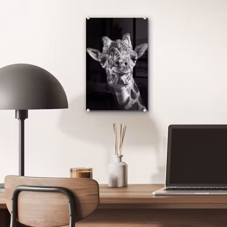 Glas schilderij - Giraffe - Dier - Zwart - Wit — 6