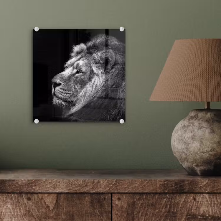 Glas schilderij - Leeuw tegen zwarte achtergrond in zwart-wit — 3