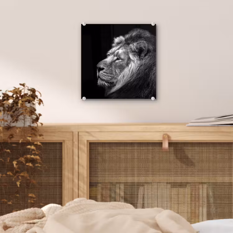 Glas schilderij - Leeuw tegen zwarte achtergrond in zwart-wit — 4
