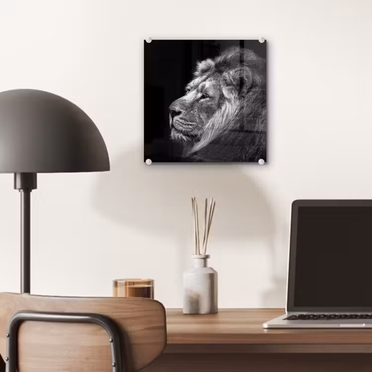 Glas schilderij - Leeuw tegen zwarte achtergrond in zwart-wit — 6