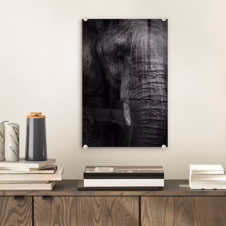Glas schilderij - Olifant - Dier - Portret — 1
