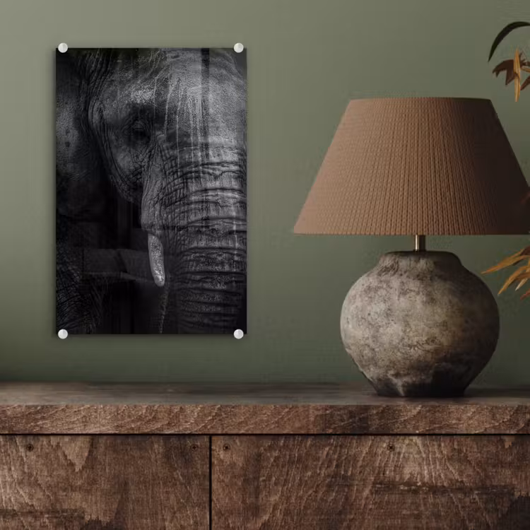 Glas schilderij - Olifant - Dier - Portret — 3