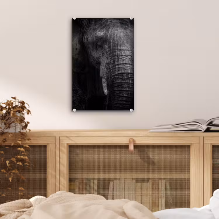 Glas schilderij - Olifant - Dier - Portret — 4