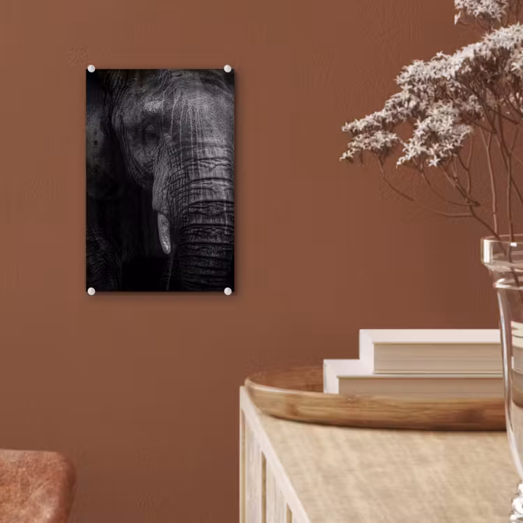 Glas schilderij - Olifant - Dier - Portret — 5